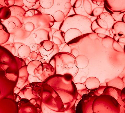 collagen and collagen peptides Image 3