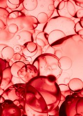 Vichy-Liftactiv-Collagen-Specialist-Photo-Ingredient-Collagen-Specialist-Peptide