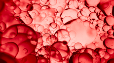 PRO-COLLAGEN-PEPTIDER