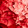 PRO-COLLAGEN-PEPTIDER